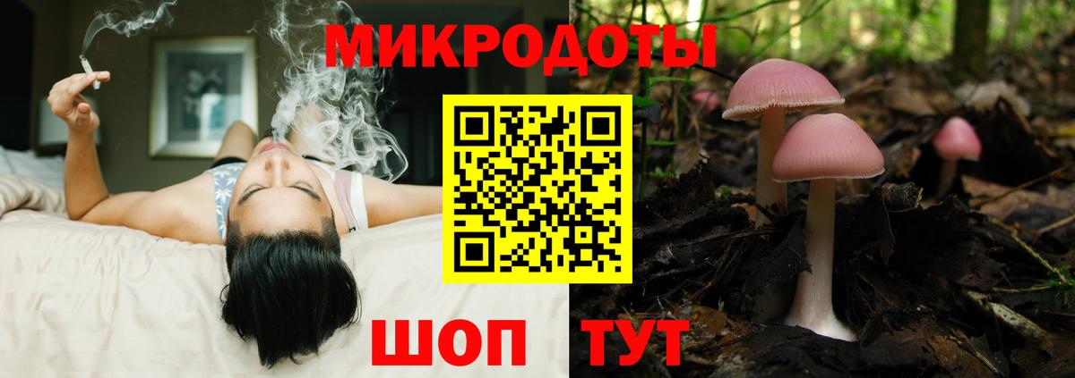 Галлюциногенные грибы Psilocybe  Вход с VPN  Кандалакша 